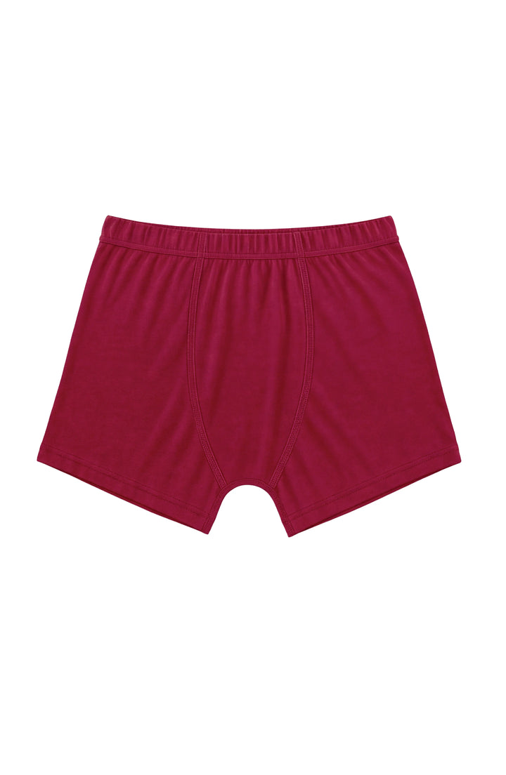 3 Pcs Set Boys Boxer Briefs - Sports