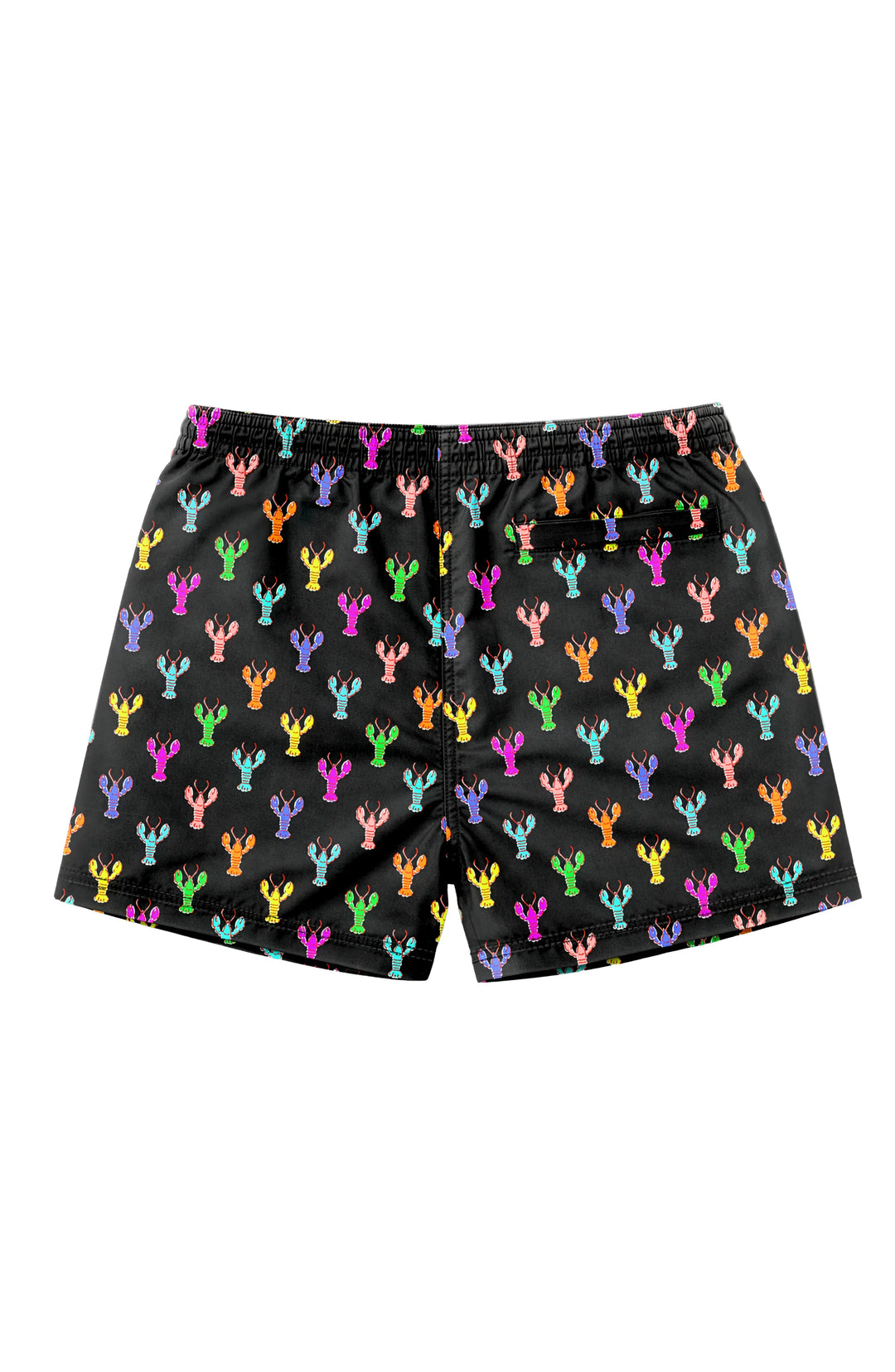 Dylan Boys Multicolor Lobster Print Board Shorts